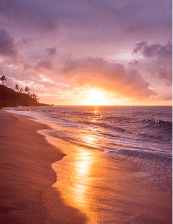 Sharon Ross Obituary